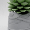 Dunk low Macetero